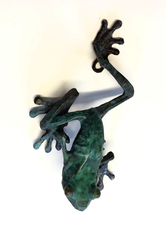 Frog C – Wall Mounted