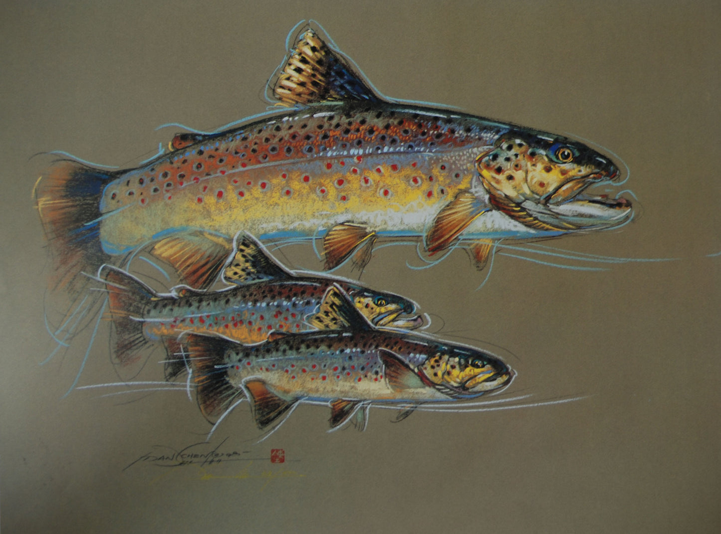 Brown Trout - Print of Pastel Drawing