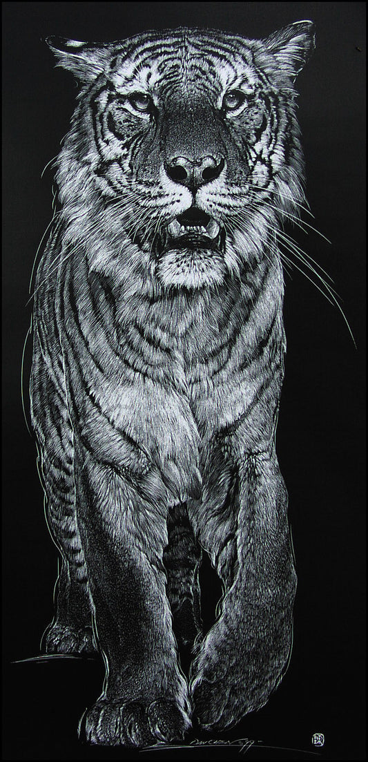 Tiger - Scratch Board Print