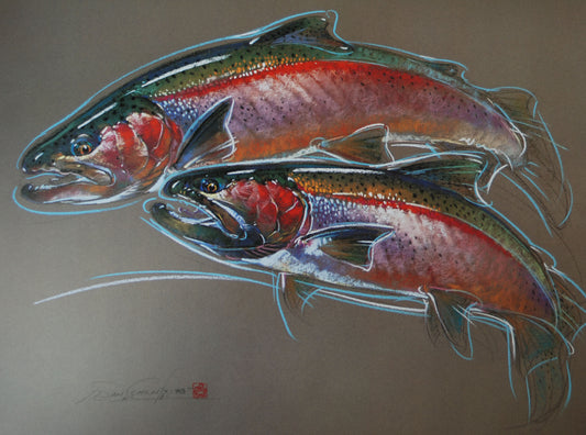 Steelhead – Print of Pastel Drawing